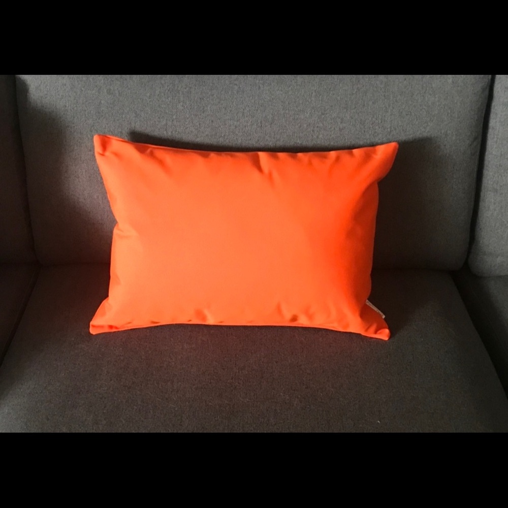 Outdoor “Sunbrella” accent cushions